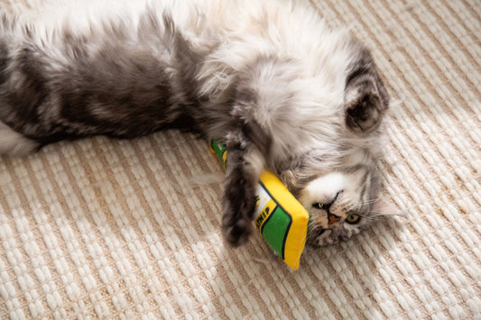 Feline Revelry