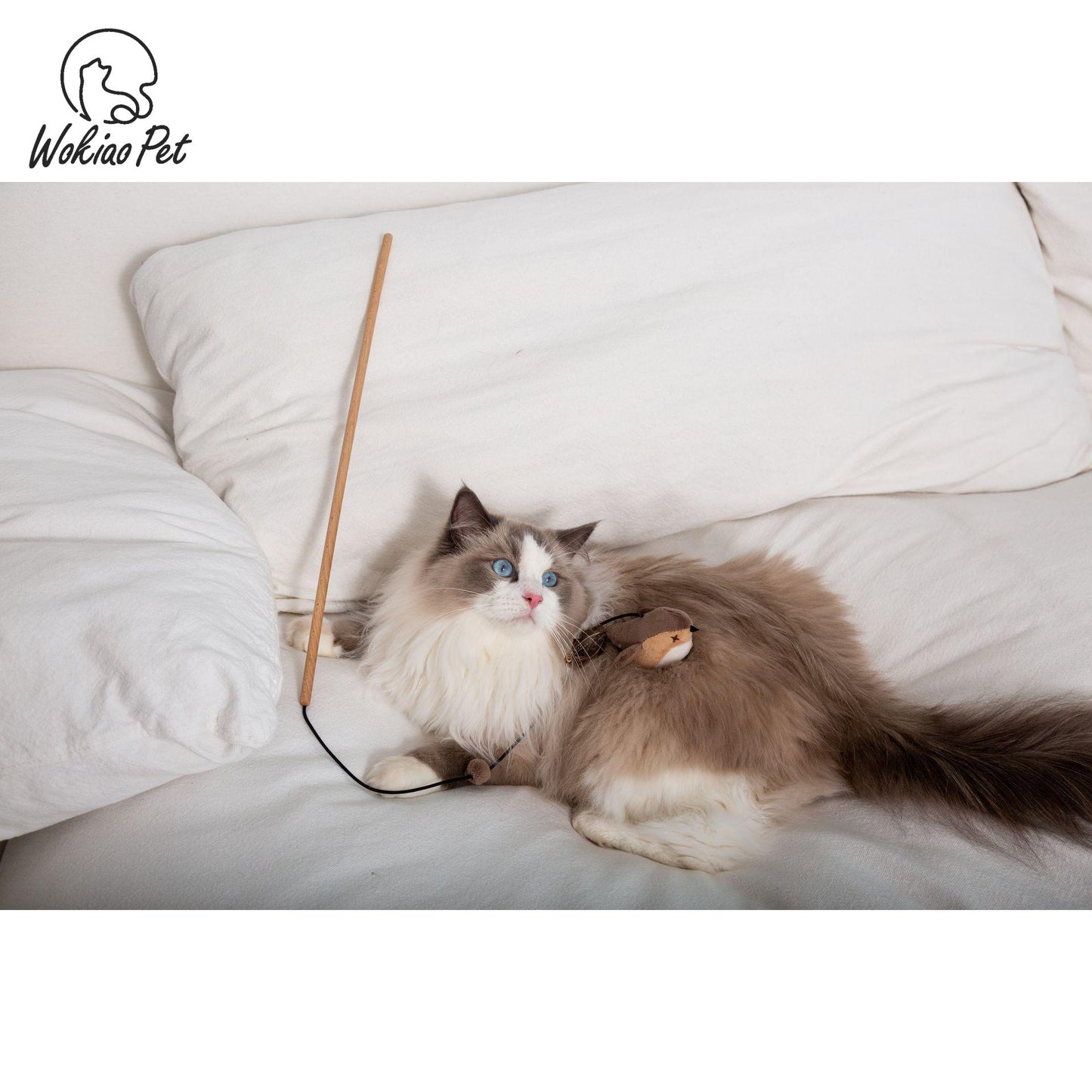 Sparrow interactive cat wand, with feathers, bell, elastic wooden stick, fishing and hunting, and sound bird