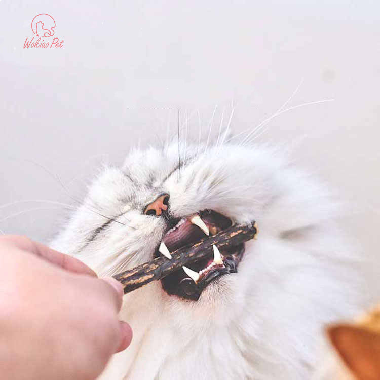Wooden Catnip Grinder Toy - The Perfect Dental Treat and Stress Reliever for Your Feline Friend!