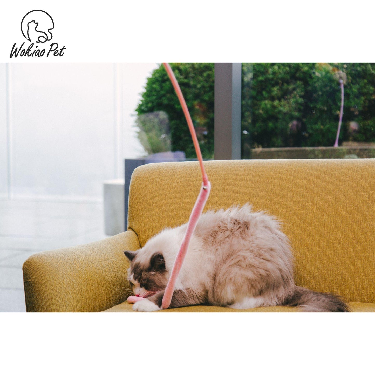 Pink-tailed cat wand toy, perfect for kittens.