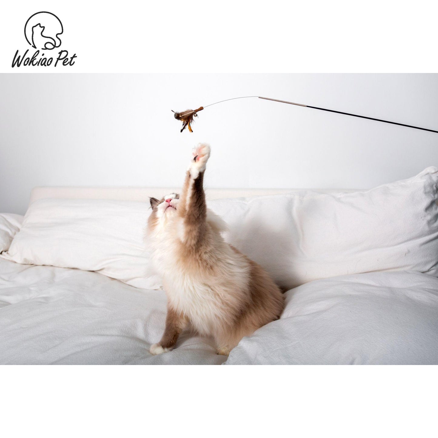 Photographer specialized race-level interactive cat wand