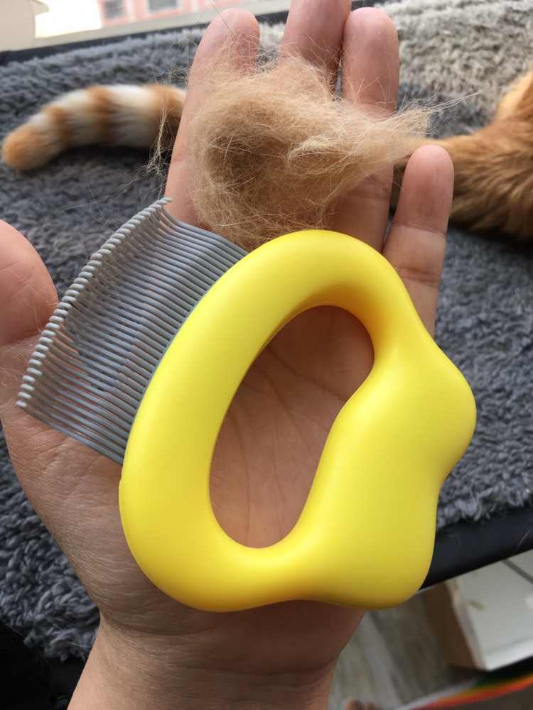 Seashell Cat Comb